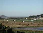 Marais de Saint-Sauveur, Ile-Grande (Pleumeur-Bodou)