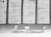 Sablière (6), blochet (2), entrait, chapelle Saint-Samson (Neulliac)