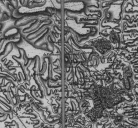 Présentation de la commune de Berrien