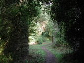 Sentier des Grands Traouïero (Trégastel)