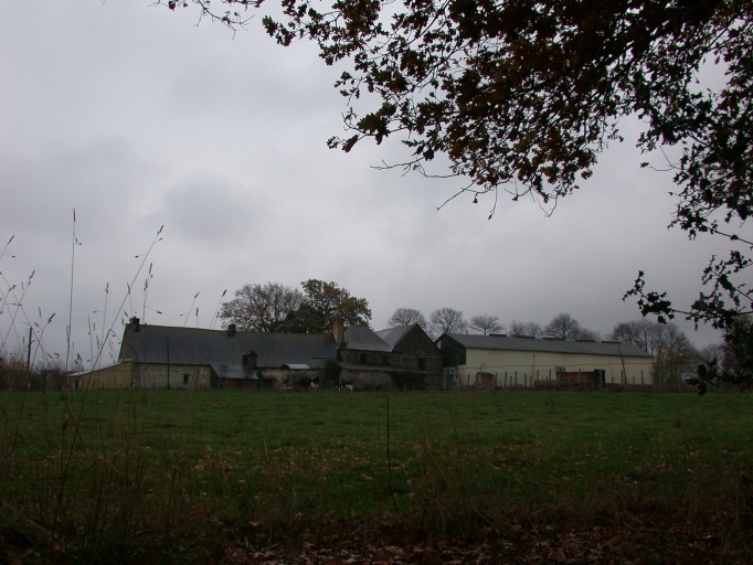 Manoir, le Grand Delieuc (Iffendic)