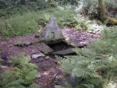 Fontaine, Saint Adrien (Arzano)