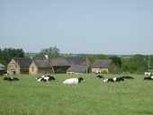 Écart, la Ville es Longrèmes (Saint-Gonlay)