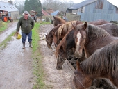 Ferme de Kerguib (Plouaret)