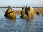 Allée couverte de Coalen (Lanmodez)