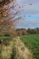 Ancienne voie ferrée d'intérêt local Saint-Brieuc-Ouest-Plouha, premier réseau (Tréveneuc)