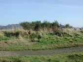 Épaulement en terre pour canon mobile de 10,5 cm, Saint-Julien (Taulé)