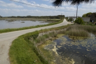 Les ponts et les digues sur la commune de Locoal-Mendon