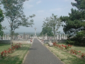 Cimetière, R.N. 175 (Romazy)