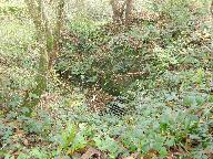 Ardoisière de Poulhazec (Lothey)