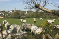 Présentation de la commune de Ploemel