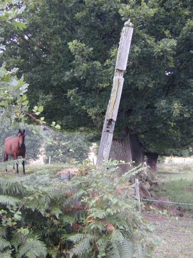 Croix de chemin, près de la Jacopière (Saint-Thurial)