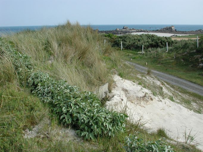 Abri, les Amiets (Cléder)