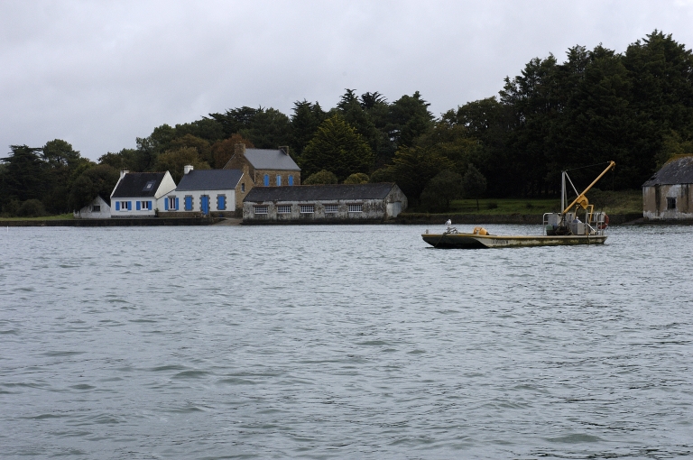 Chantier ostréicole n°2, Pointe de Roc'h Vihanec (Locoal-Mendon)
