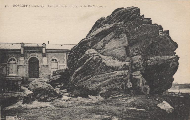 Ensemble fortifié (Mo 96), Pointe de Roc'h Kroum (Roscoff)