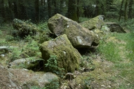 Allée couverte du Brohet, Forêt départementale Beffou (Loguivy-Plougras)