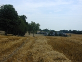 Manoir, le Heaulme (Visseiche)