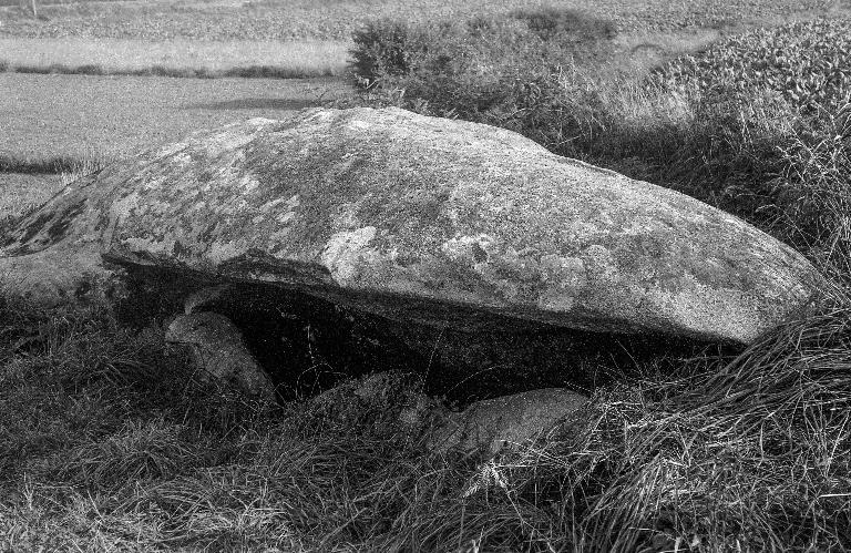 Dolmen de Couing André, Gouenig an Dreff (Plouescat)