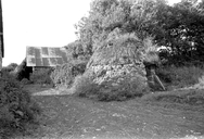 Ferme, Toul ar C'hoat (Plusquellec)