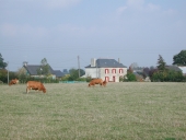 Ferme, actuellement maison, la Chenais (Gennes-sur-Seiche)