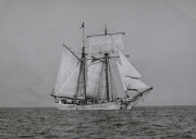 Bateau de pêche : goélette 'Glycine'