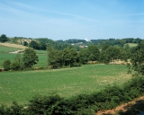 Carrière, le Bois de Chevré (La Bouëxière)