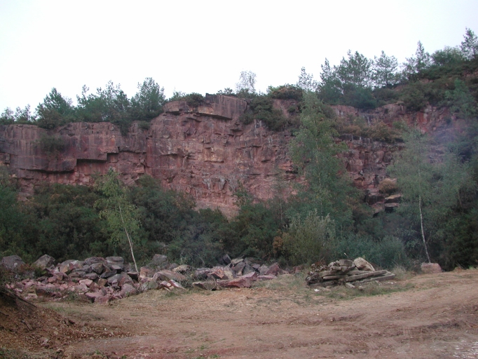 Carrière, la Harelle (Montfort-sur-Meu)