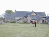 Écart, la Grande Béguinière (Domalain)