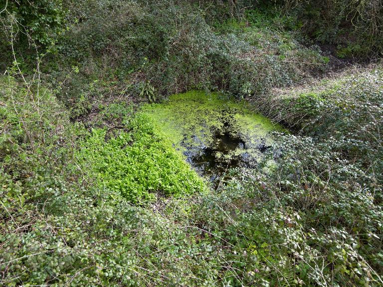 Routoirs et fontaine de Fanten an aman (La Roche-Derrien fusionnée en La Roche-Jaudy en 2019)