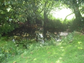Fontaine et lavoir, Fetan Erven (Guénin)