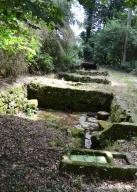 Blandierie des Sarrasins, proche du lieu-dit La Pommeraie (Le Foeil)