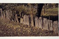 Présentation de la commune de Sérent