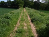 Ancienne voie ferrée d'intérêt local Tréguier-Petit-Camp (Louannec), premier réseau (Plouguiel)