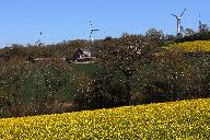 Présentation de la commune de Saint-Coulitz