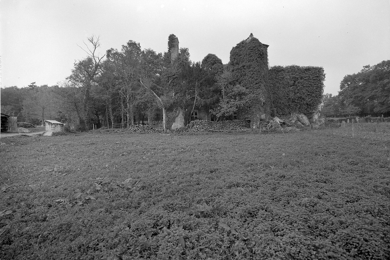 Château, le Plessis Godard (Pancé)