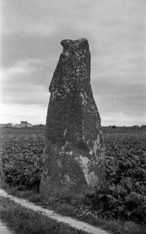 Menhir, à 500 m au nord d'Irvit (Plouescat)