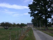 Ferme, la Corroyère (Rannée)