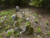 Allée couverte, dite du Courtil aux Fées, Beaumont (Saint-Laurent-sur-Oust)