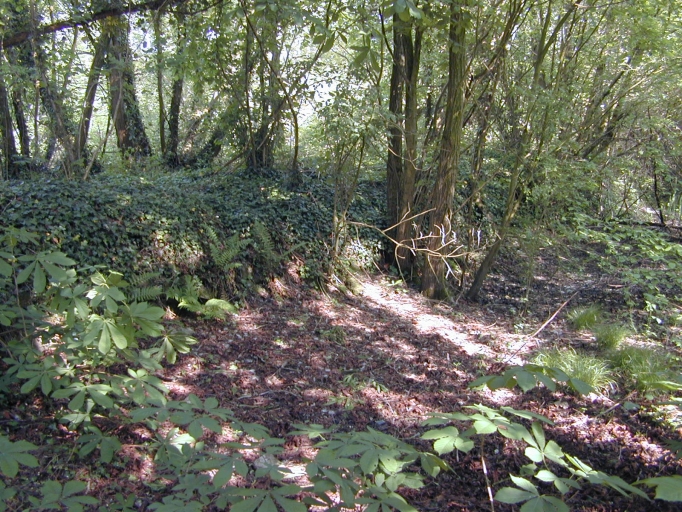 Digue de l'étang du Bas-Bourgneuf (Meillac)