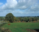 Village de Saint-Just