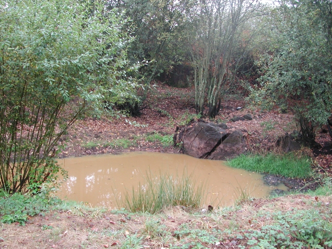 Carrière, la Croix Huchard (Montfort-sur-Meu)