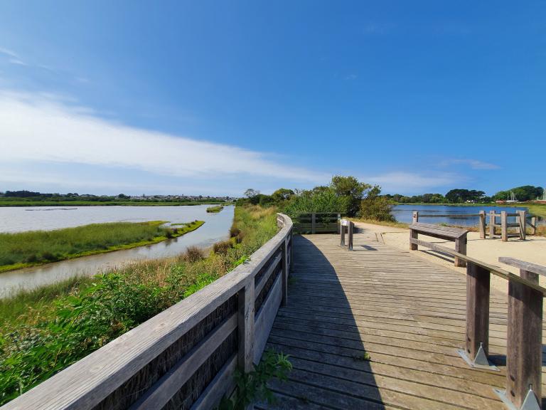 Le marais de Pen Mané (Locmiquélic)