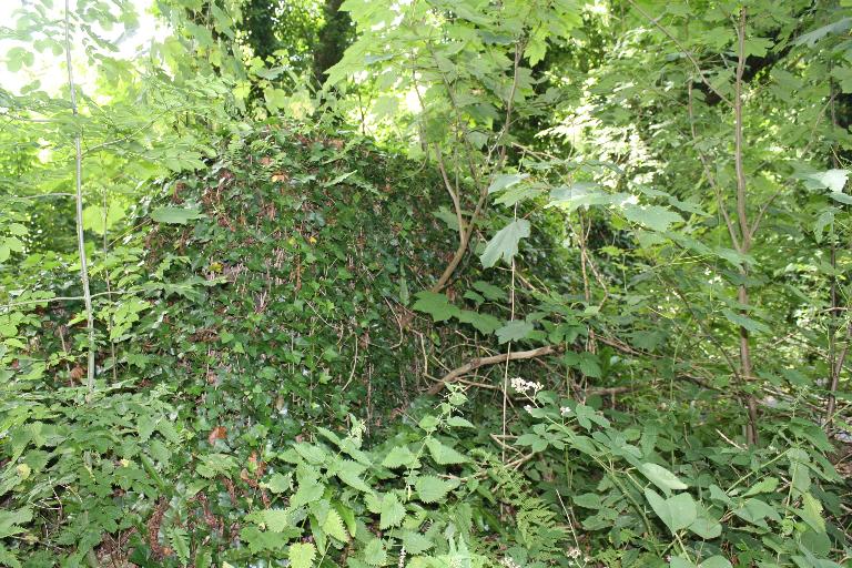 Moulin à papier, Moulin-Blanc (Plourin-Lès-Morlaix)