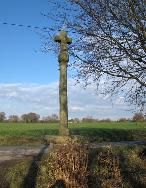 Croix de chemin (Kerdaniel)
