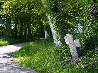 Les croix de la commune de Rospez