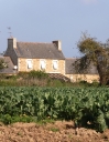 Ferme, rue de Lannion (Penvénan)
