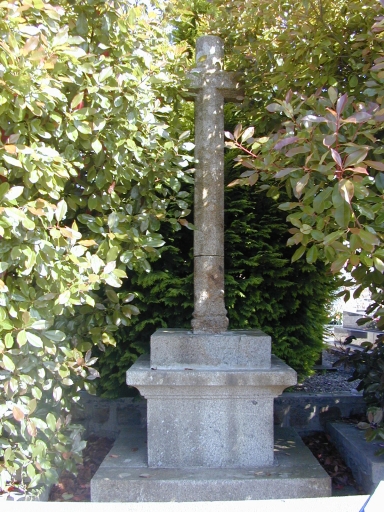 Calvaire, rue du Docteur Lemoine (Montreuil-sur-Ille)