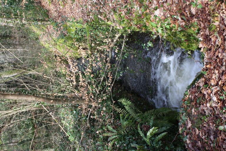 Moulin à papier, Quirin (Pleyber-Christ)