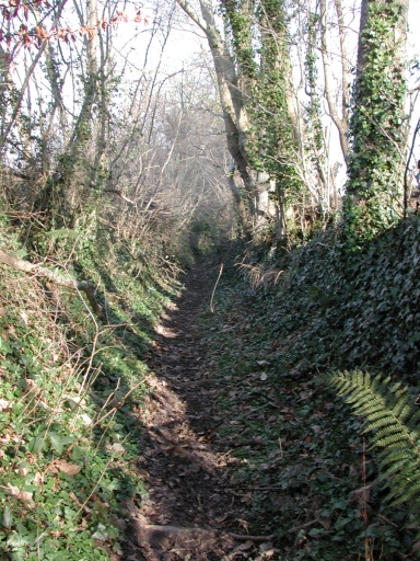 Chemin, Coz-Castel ; An Antoul (Tréduder)