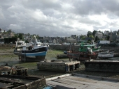 Viviers sur la commune de Ploubazlanec